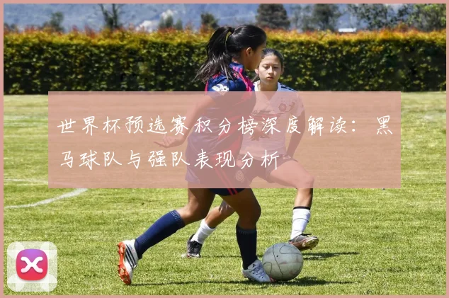 世界杯预选赛积分榜深度解读:黑马球队与强队表现分析
