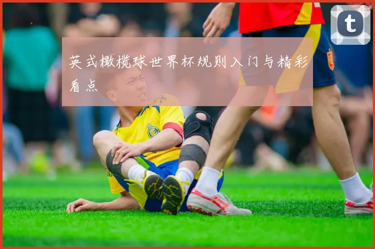 英式橄榄球世界杯规则入门与精彩看点