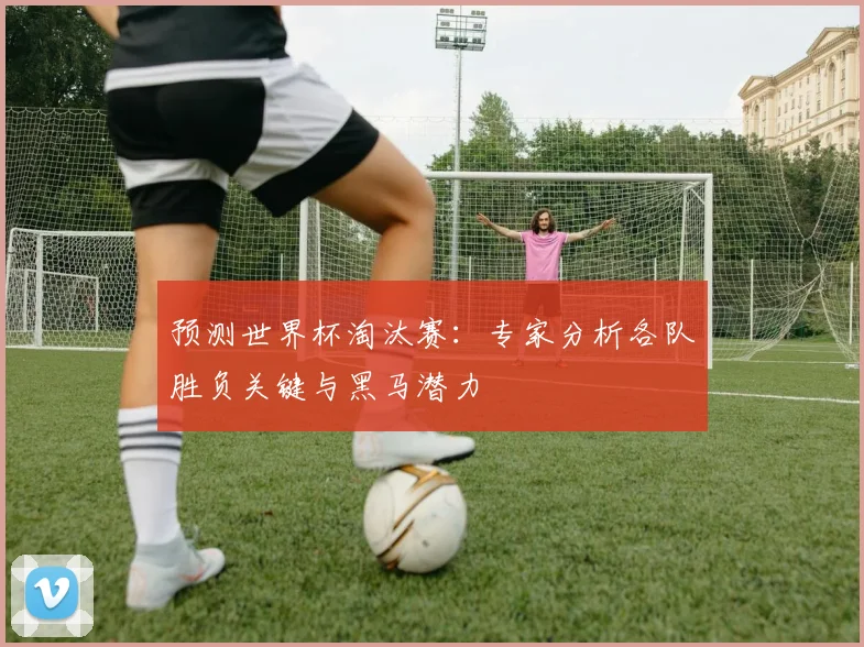 预测世界杯淘汰赛:专家分析各队胜负关键与黑马潜力