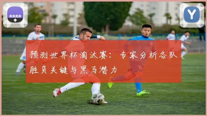 预测世界杯淘汰赛：专家分析各队胜负关键与黑马潜力