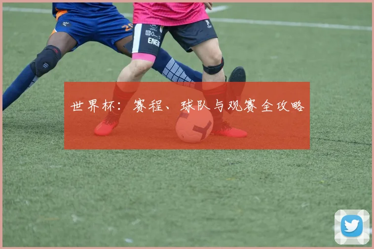世界杯：赛程、球队与观赛全攻略